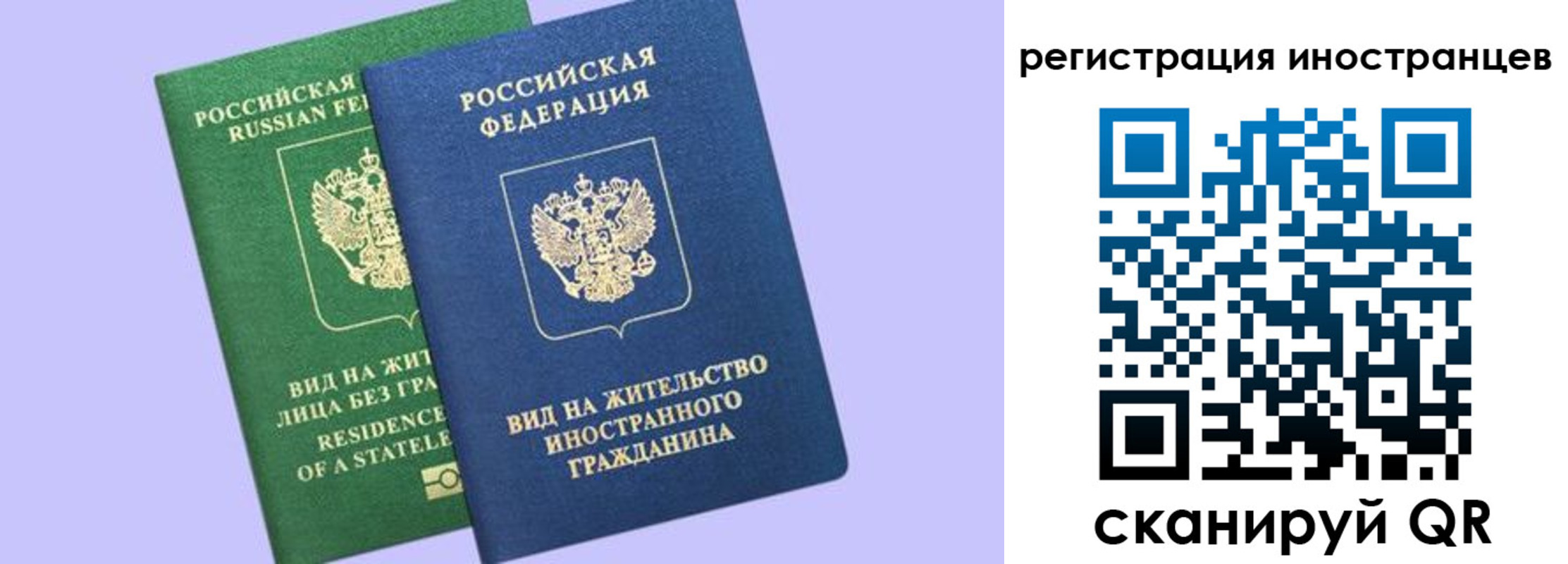 временная прописка в Щиграх