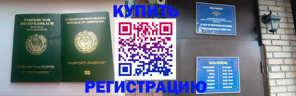 временная регистрация в Щиграх
